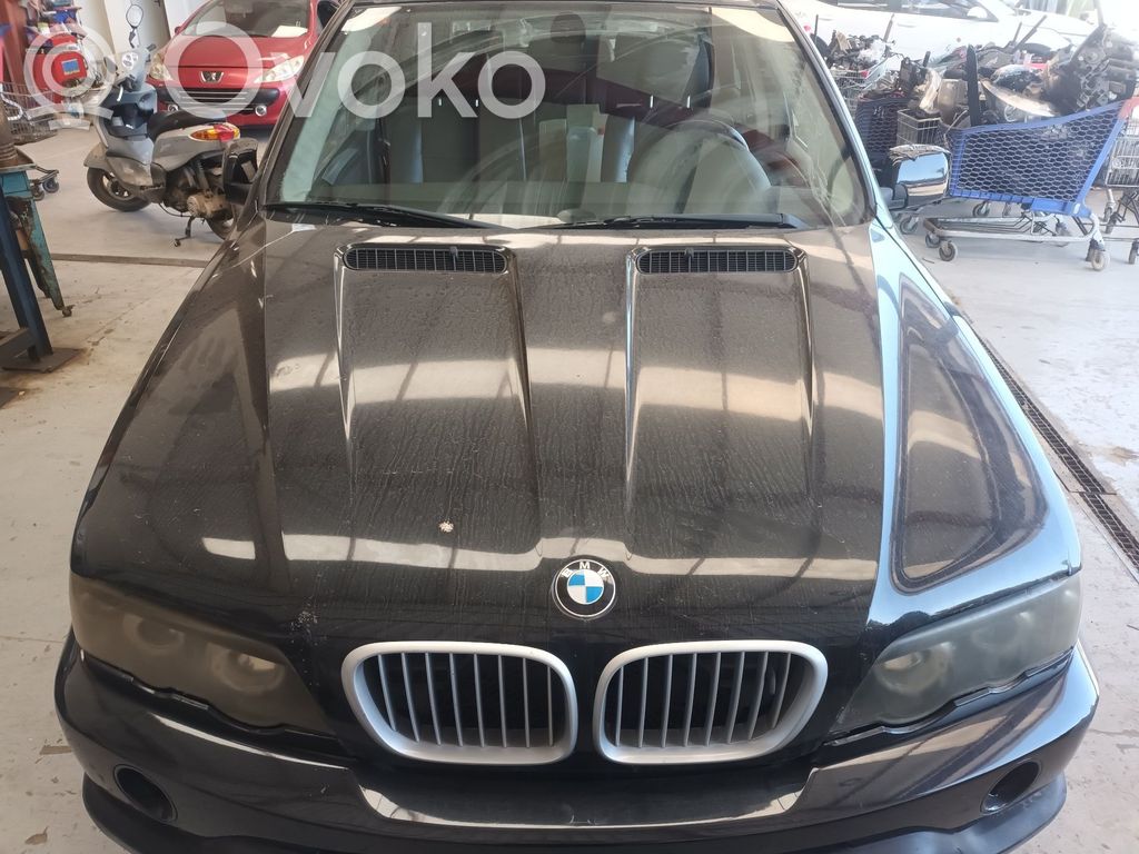 X5 E53 X5  690209109