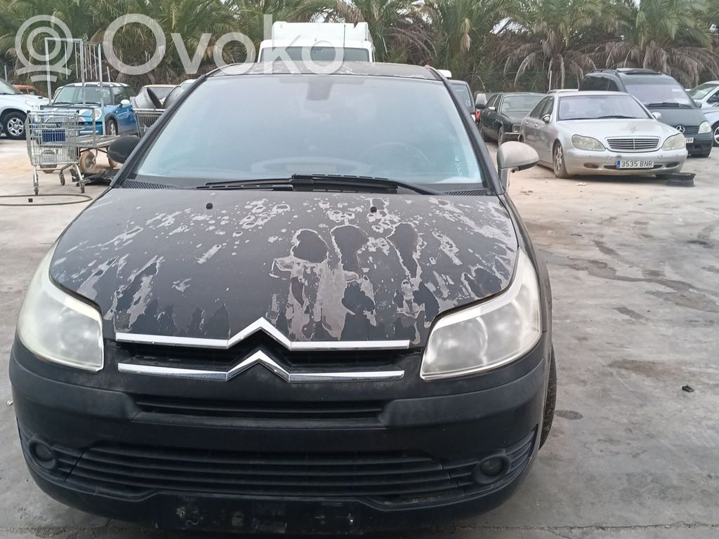 C4 I C4 Picasso, Grand Picasso, Aircross, Cactus  9685590380