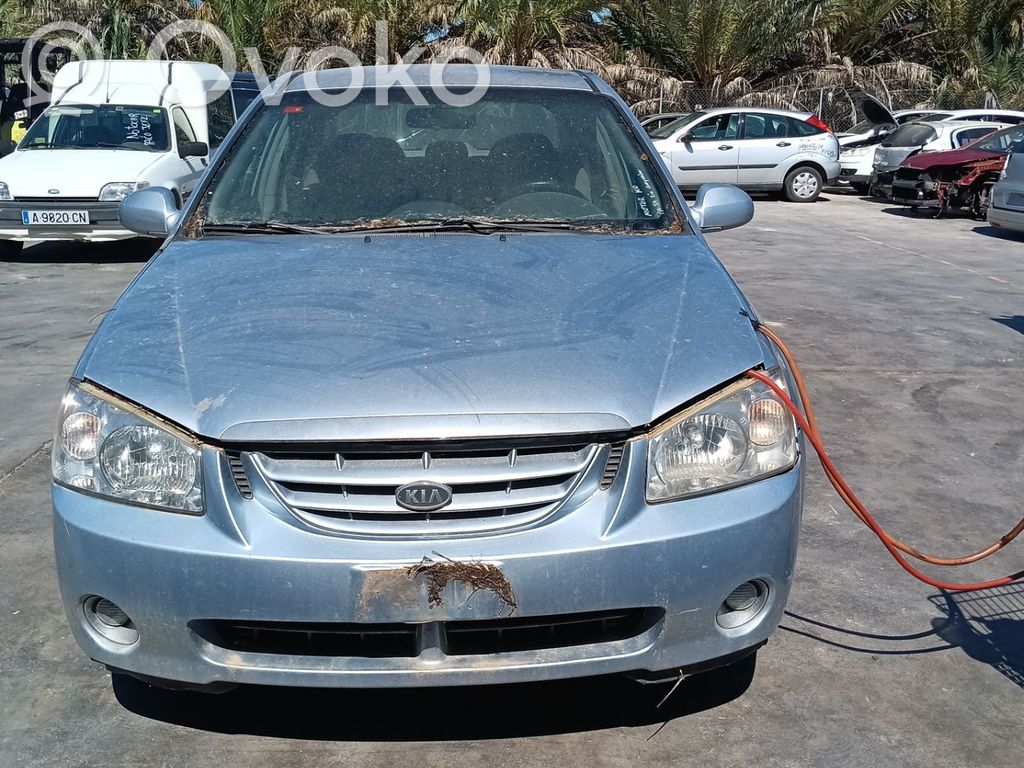 Cerato Cerato  338002A110