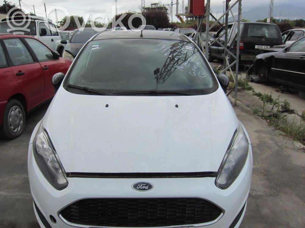 Fiesta Fiesta  F1B112A650BDB