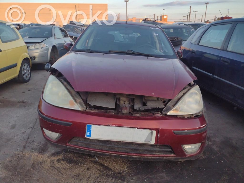 Focus Focus  A21813