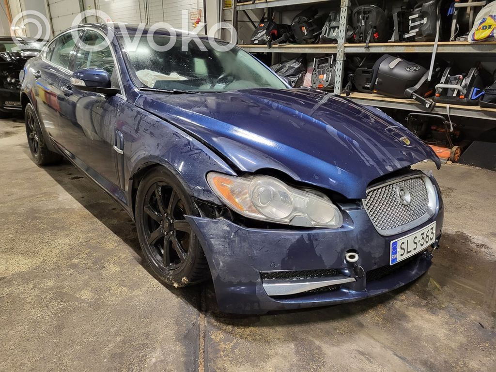 XF XF  0265005704