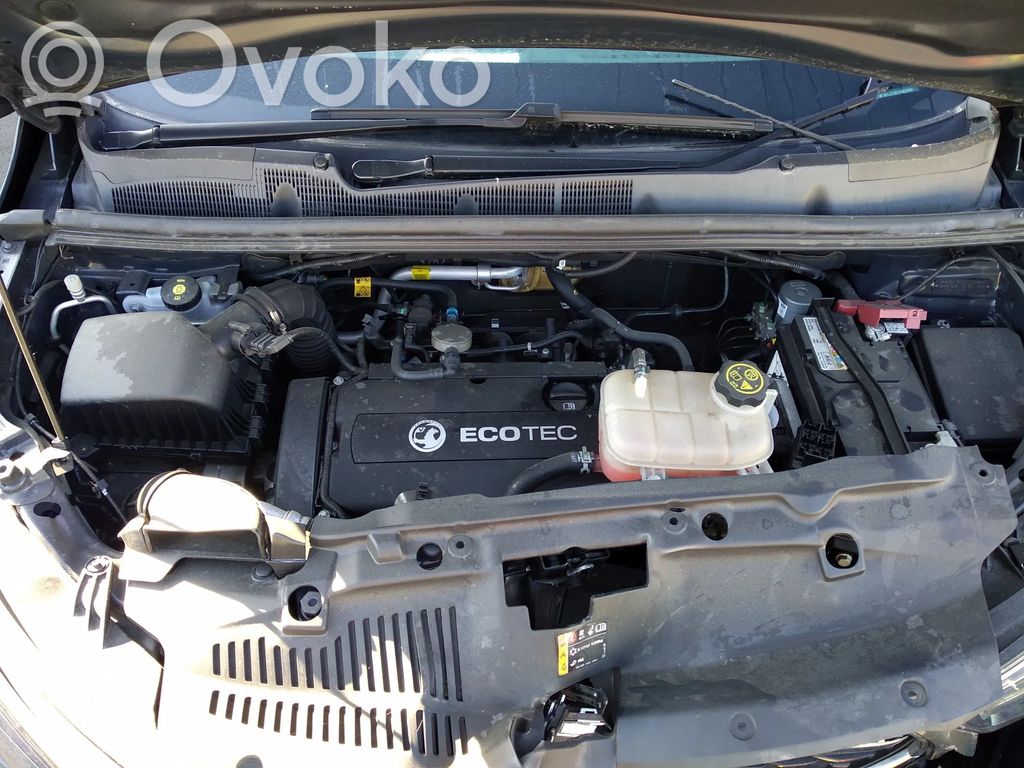 Mokka Mokka  22943126