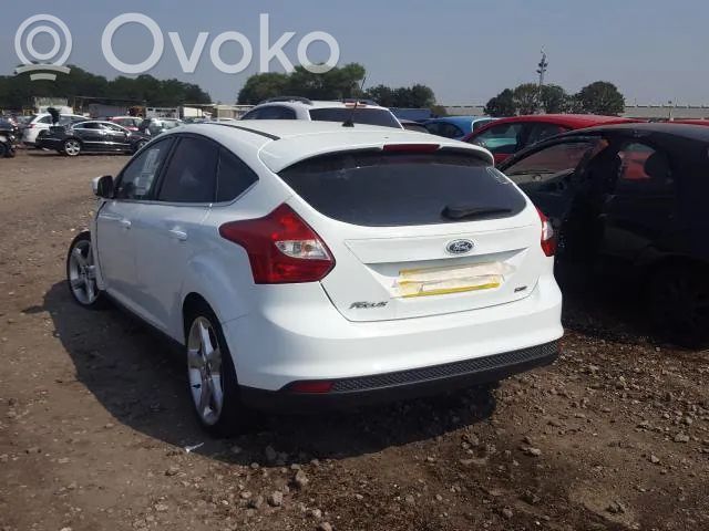 Focus Focus  CV619G444CB