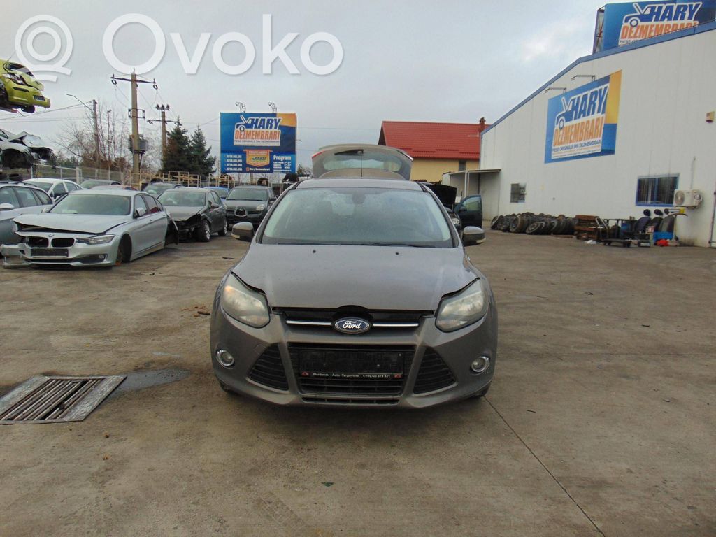 Focus Focus  1762228
