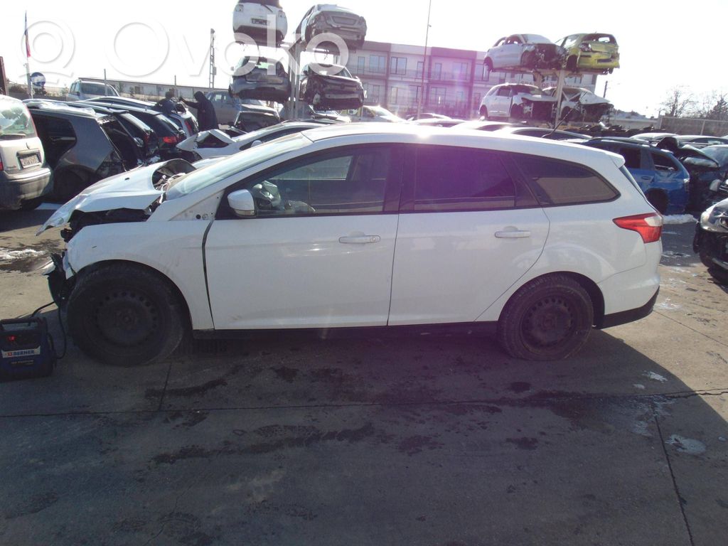Focus Focus  1719425