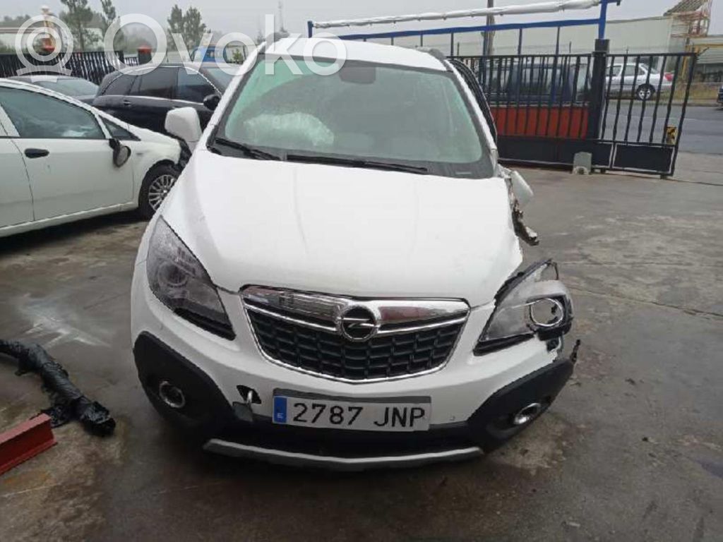 Mokka Mokka  42393207