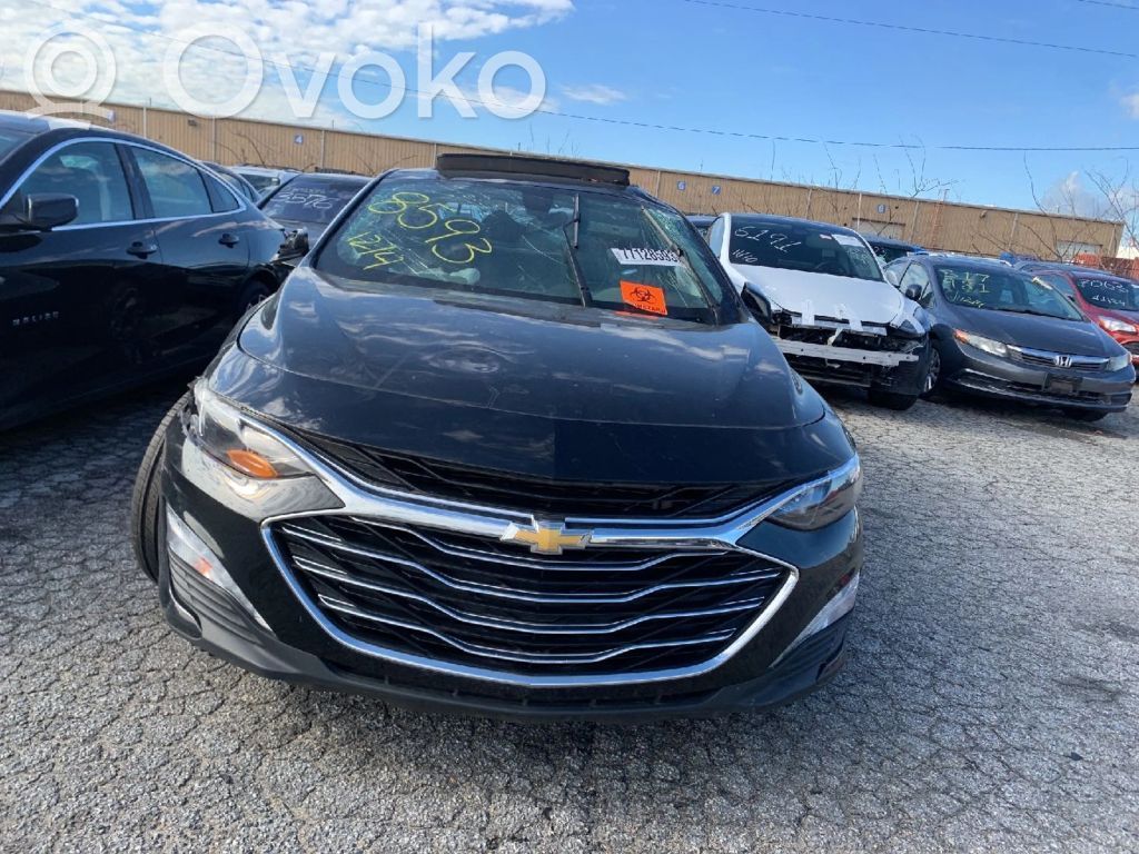 Malibu Malibu  84034329