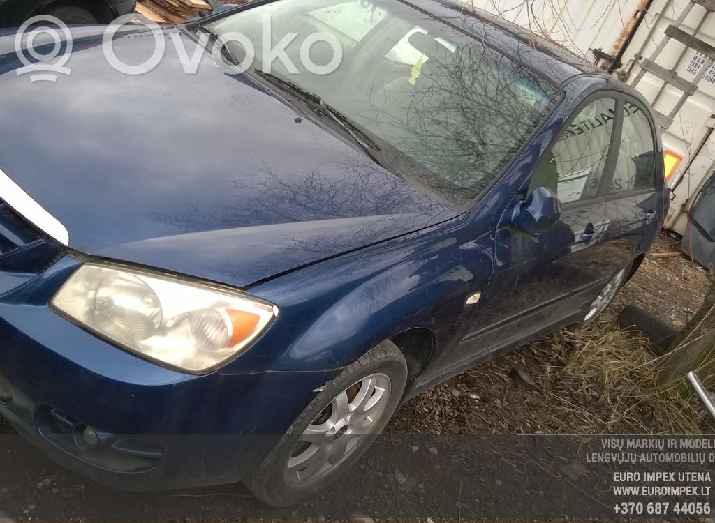 Cerato Cerato