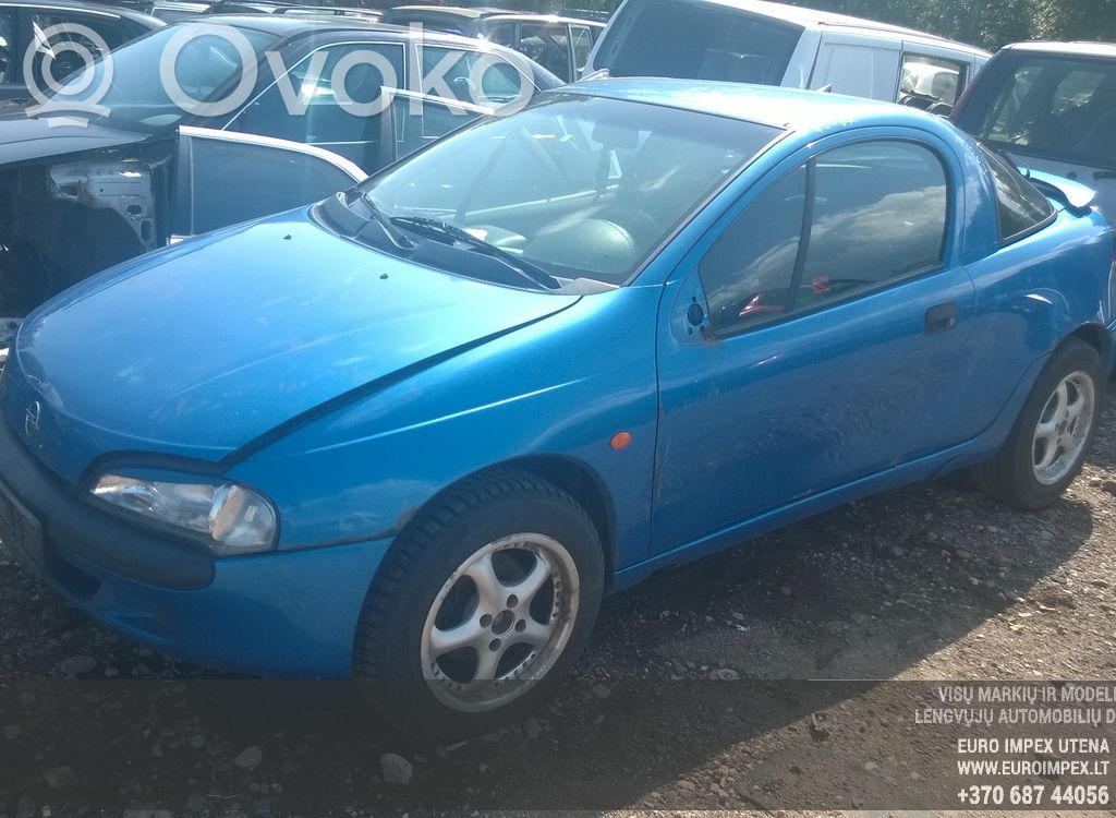 Tigra A Tigra  0204003