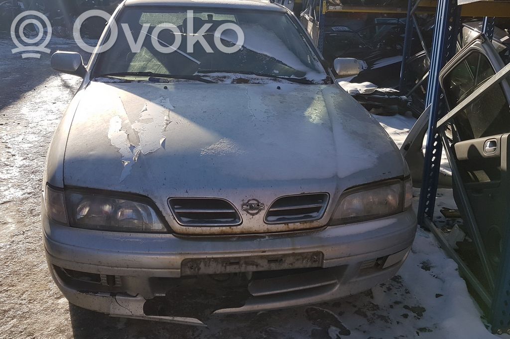 Primera Primera  0261204853