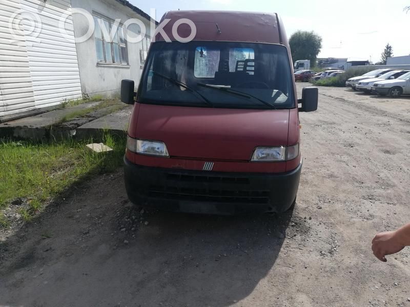 Ducato Ducato  RAUDONAS