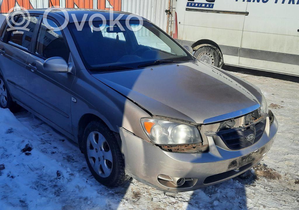 Cerato Cerato