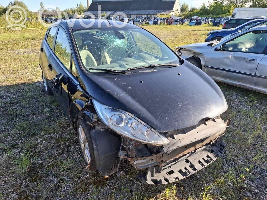 Fiesta Fiesta  F61597