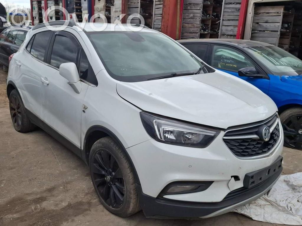 Mokka X Mokka  25194650