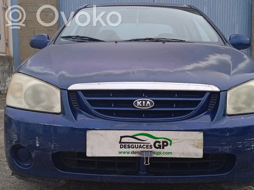 Cerato Cerato