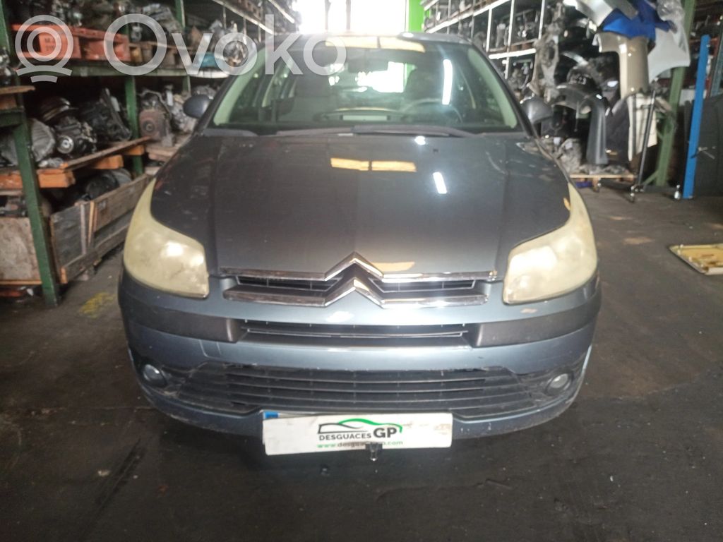 C4 I C4 Picasso, Grand Picasso, Aircross, Cactus  040065