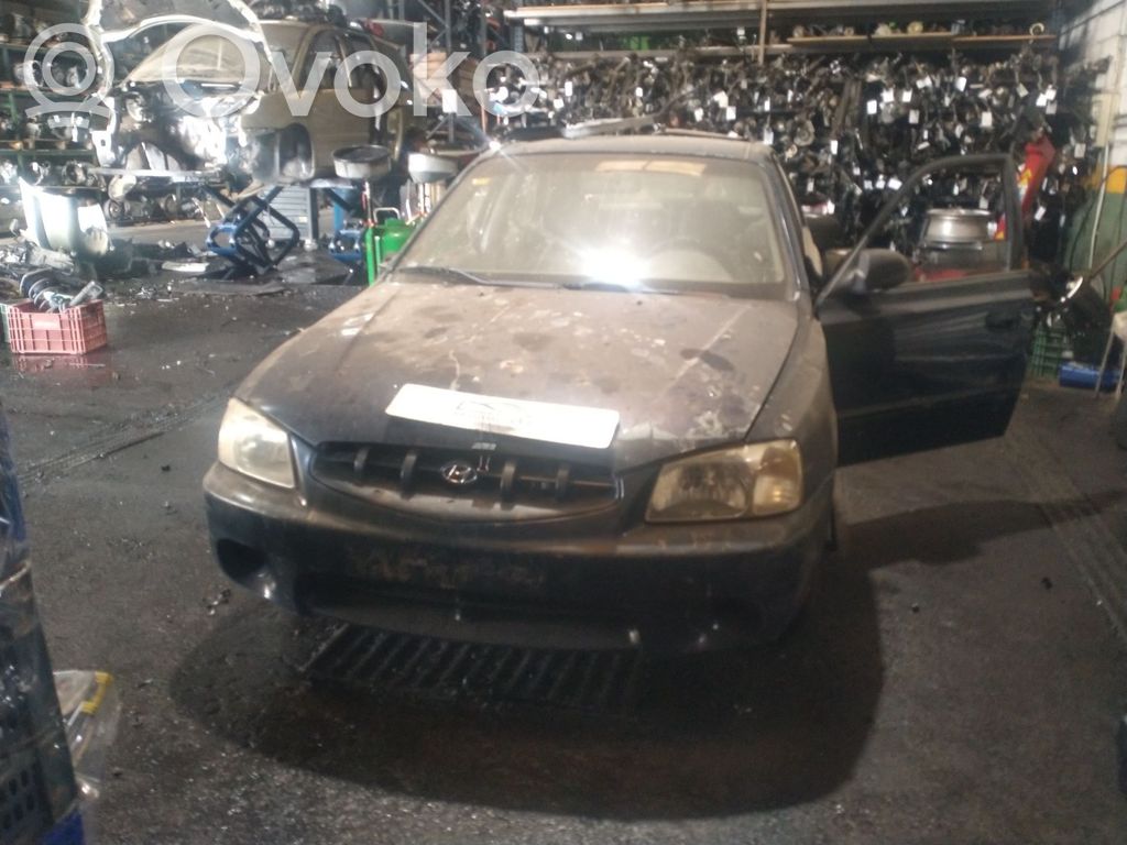 Accent Accent  5770025010