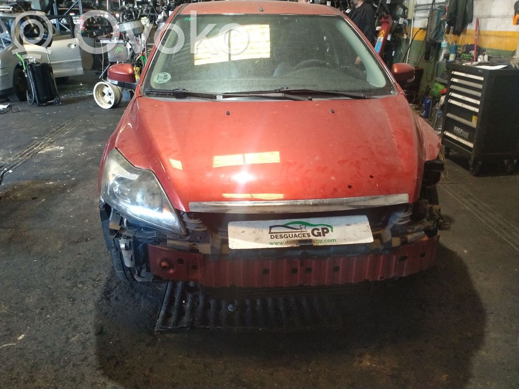 Focus Focus  4892459