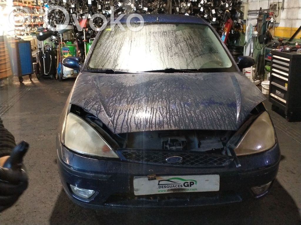 Focus Focus  1306742