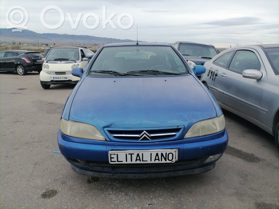 Xsara Xsara, Xsara Picasso