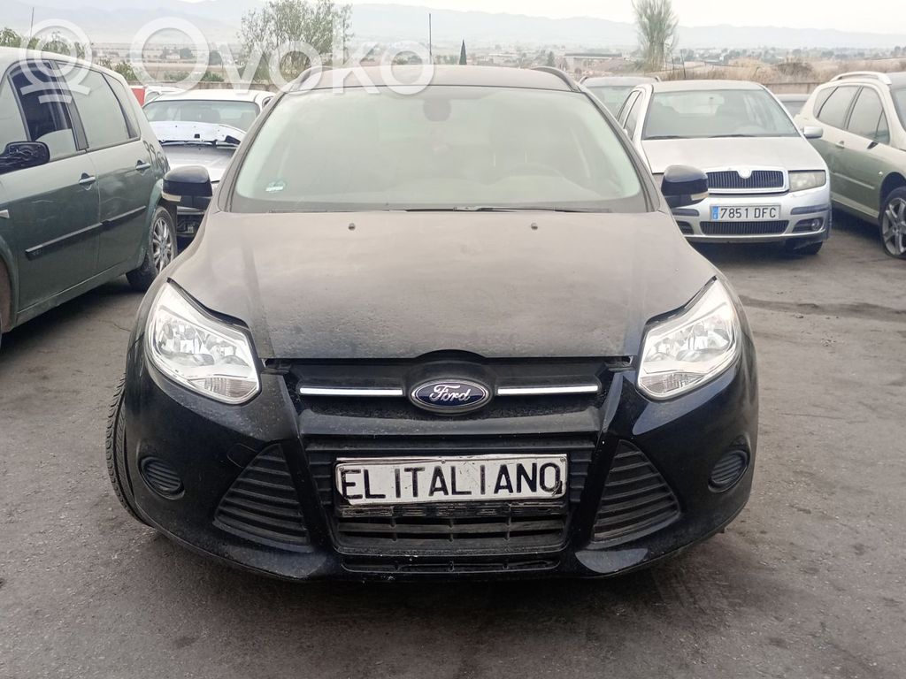 Focus Focus  AV613B436JB