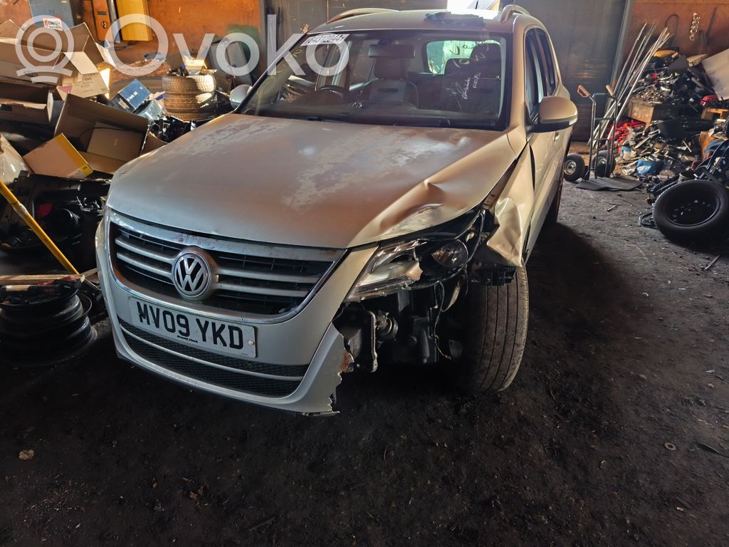 Tiguan Tiguan
