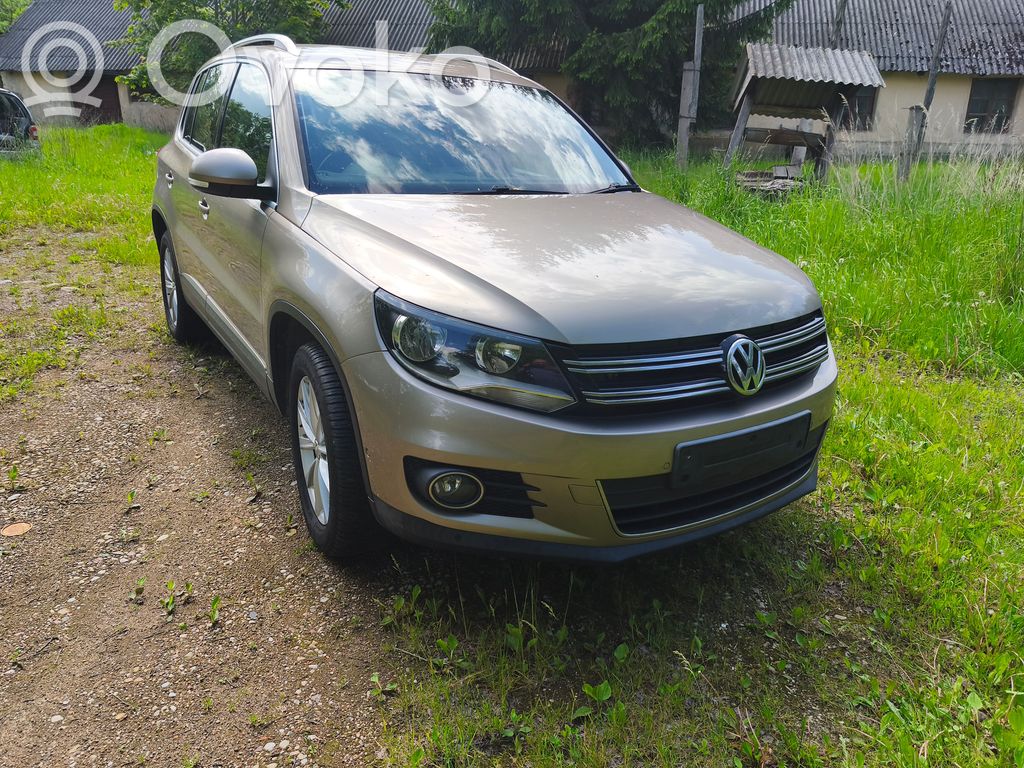 Tiguan Tiguan