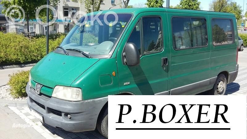 Boxer Boxer  E95RL22