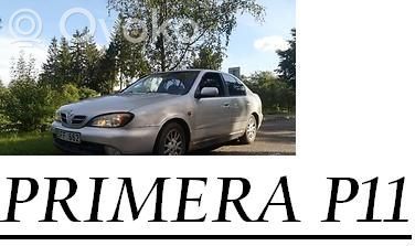 Primera Primera  LSH24
