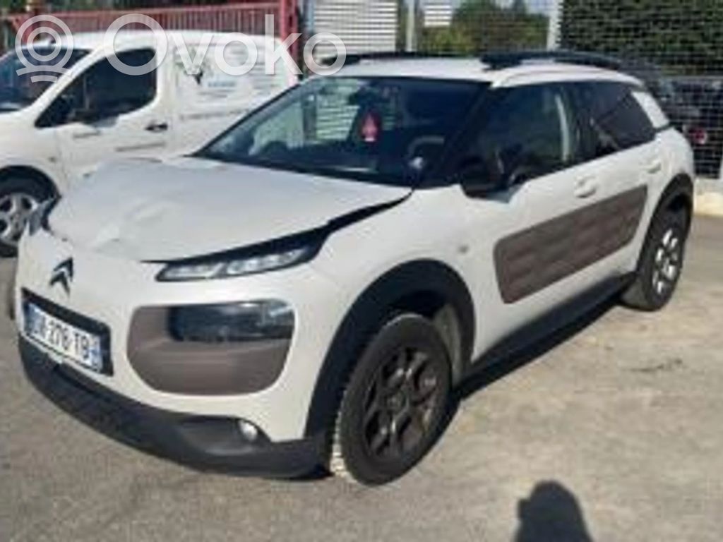 C4 Cactus C4 Picasso, Grand Picasso, Aircross, Cactus  9807545980