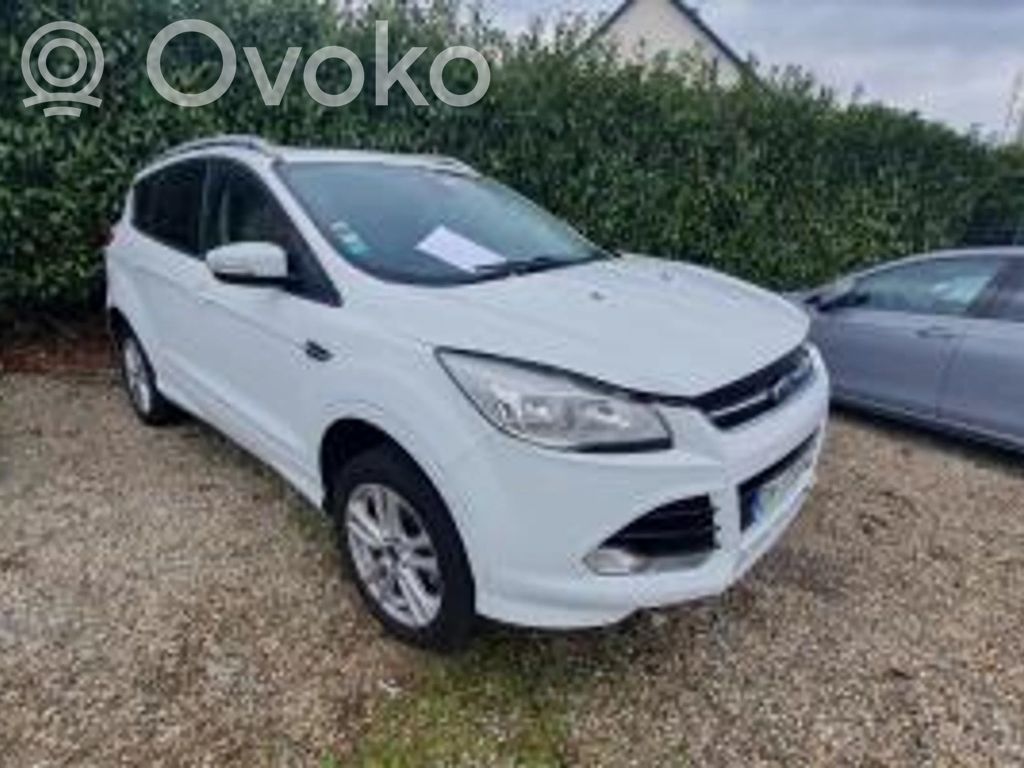 Kuga II Kuga  1870892