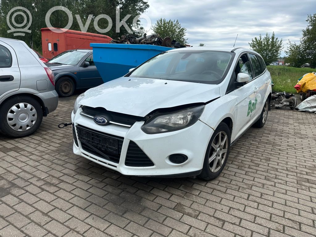 Focus Focus  1808504