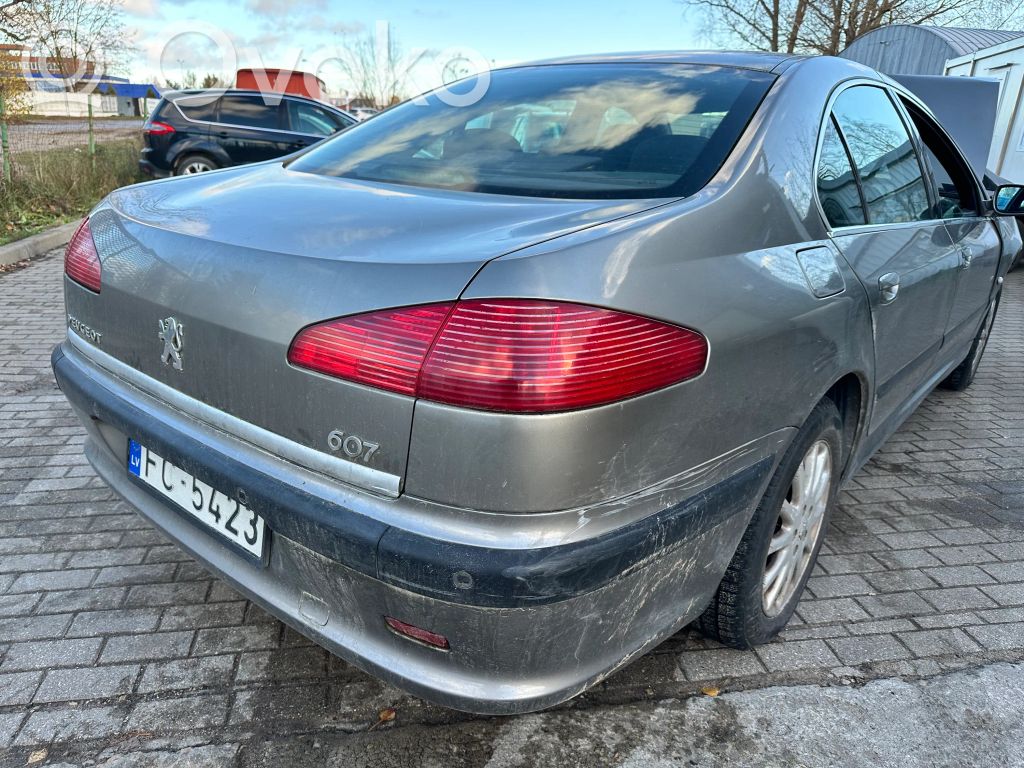607 607  96420049ZL