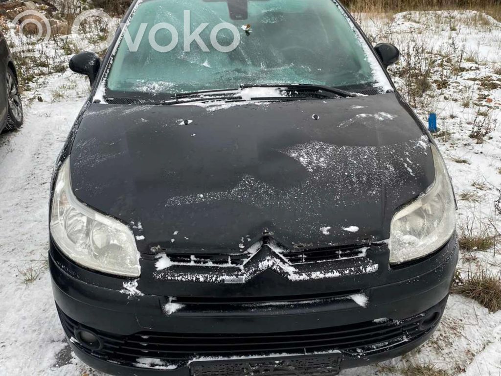 C4 I C4 Picasso, Grand Picasso, Aircross, Cactus  040065