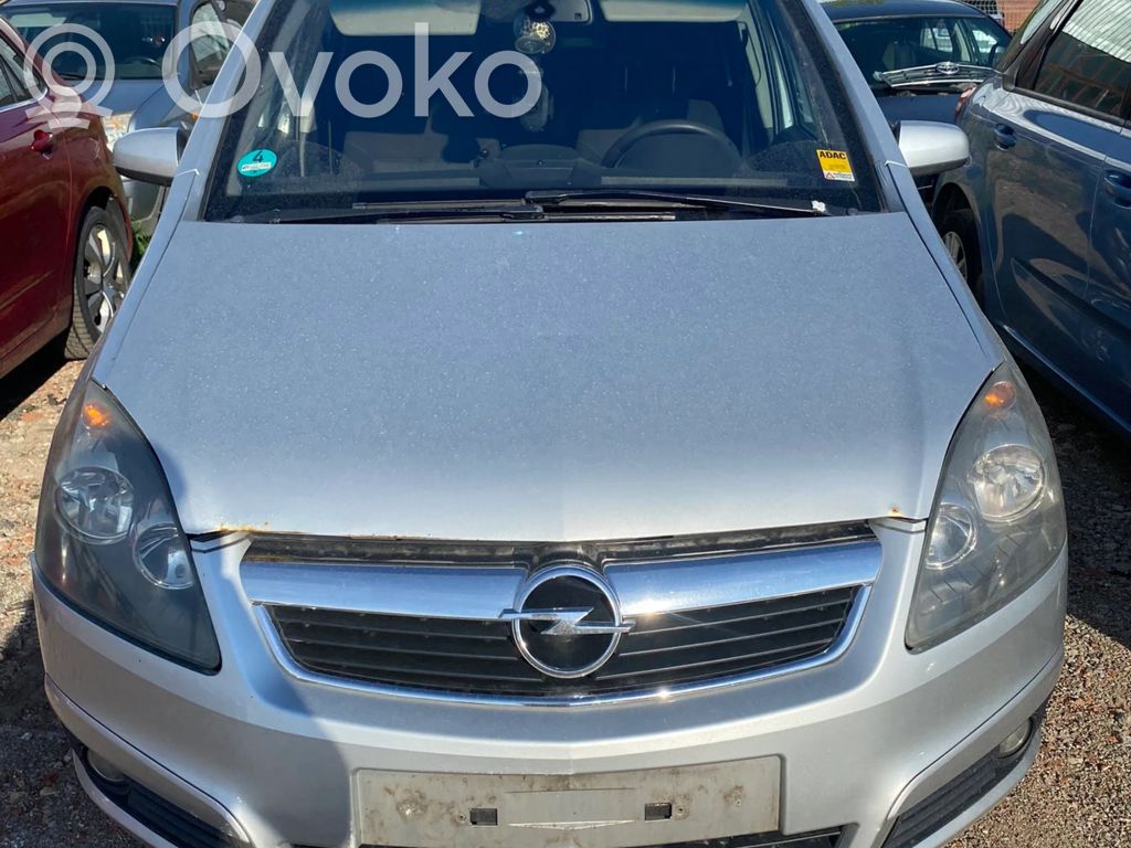 Zafira B Zafira  13256063