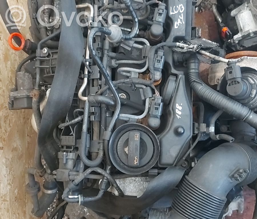 Golf VI Golf  036906433D