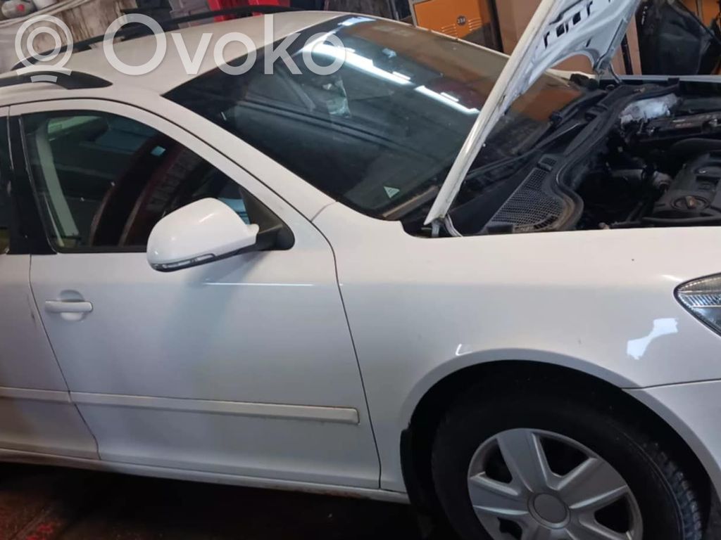 Octavia Mk2 (1Z) Octavia  0258010104