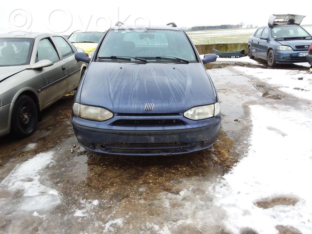 Palio Palio  716063000