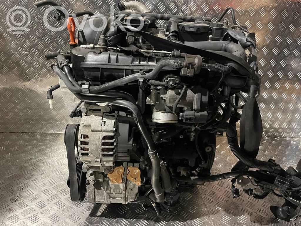PASSAT B6 Passat  LKM
