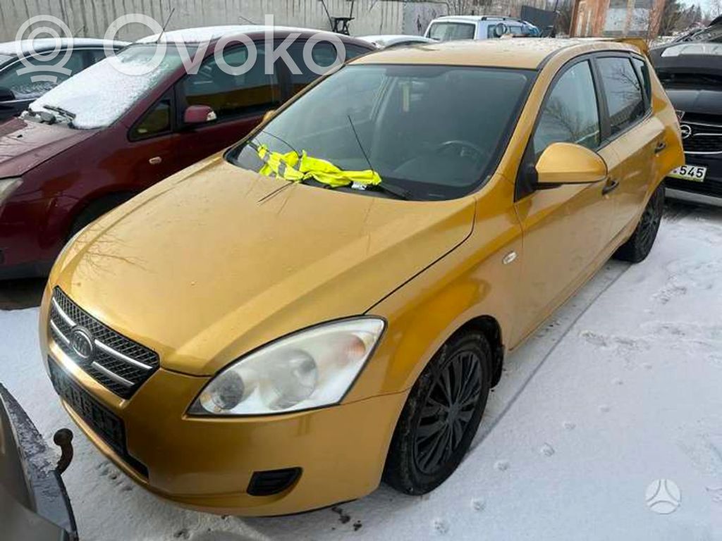 Ceed Ceed, Ceed SW, Pro Ceed  07010513