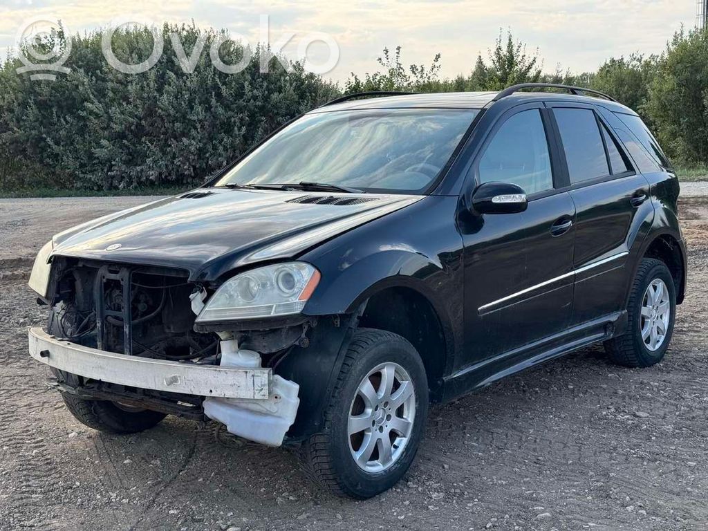ML W164 ML-class, AMG (W163, W164, W166)  A2518200175