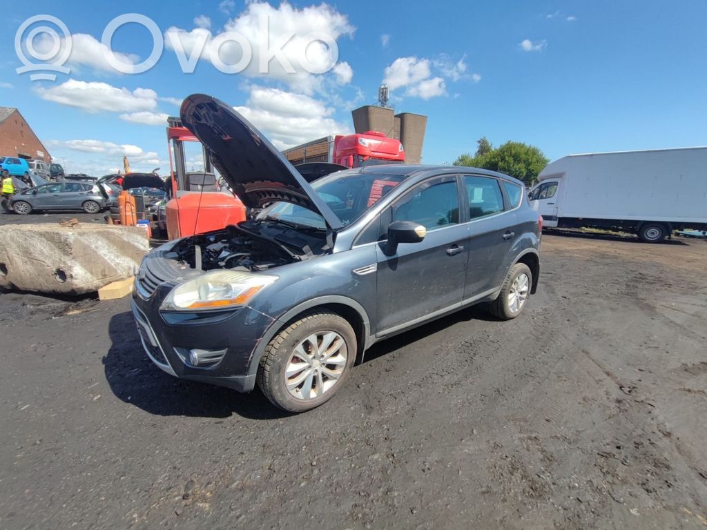 Kuga I Kuga  1707331