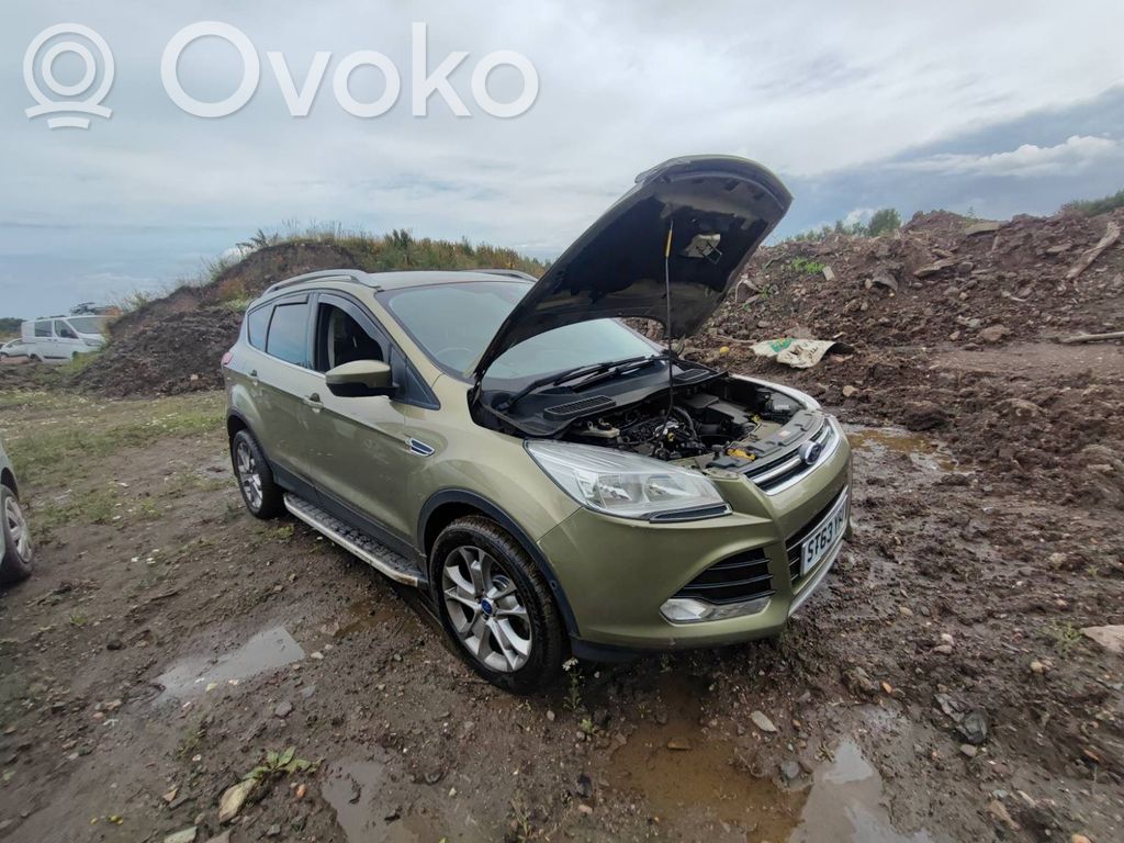Kuga II Kuga