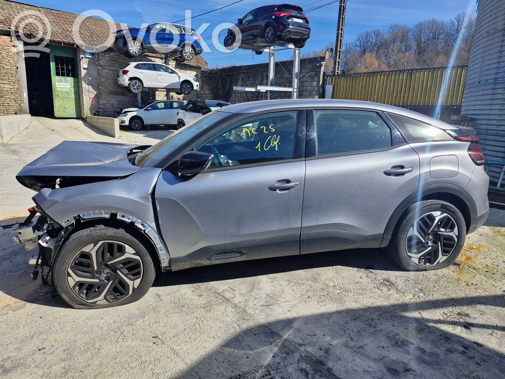 C4 III e-C4 C4 Picasso, Grand Picasso, Aircross, Cactus  1627638180