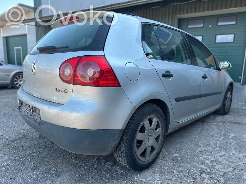 Golf V Golf  1305219065