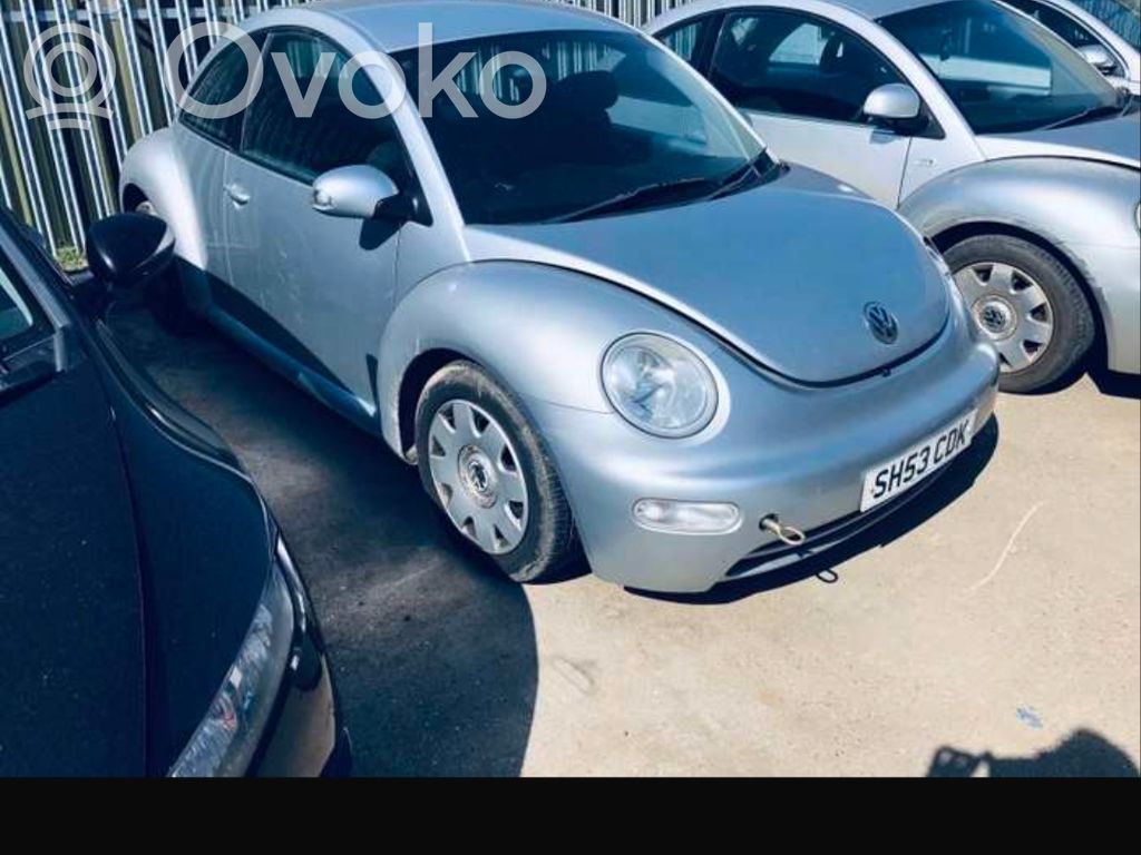 New Beetle Beetle