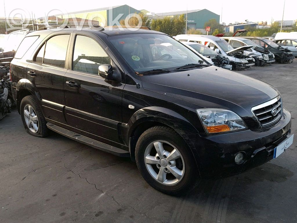 Sorento Sorento  663213E141