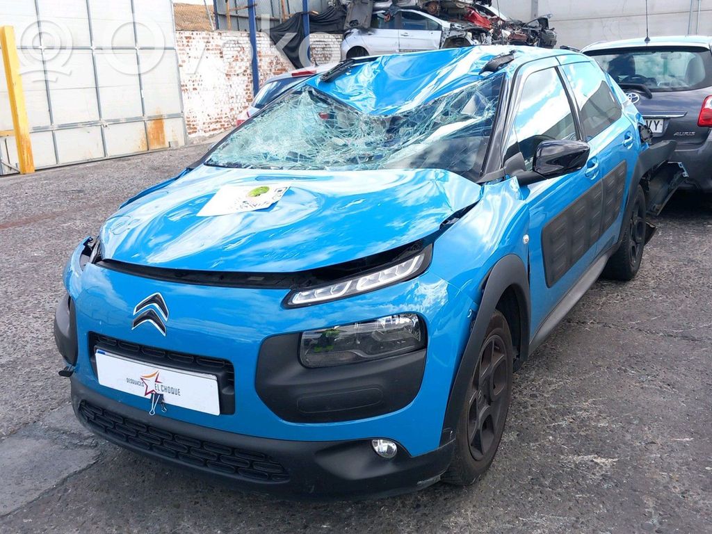 C4 Cactus C4 Picasso, Grand Picasso, Aircross, Cactus  9819474880
