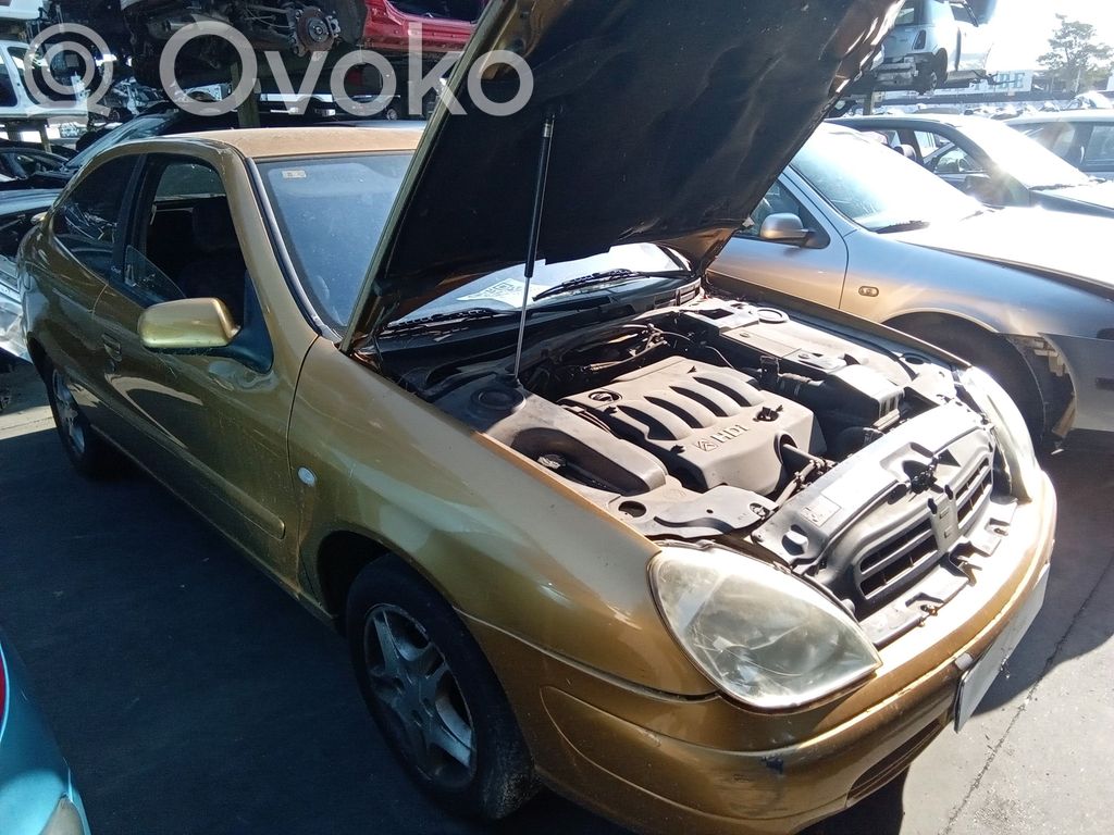 Xsara Xsara, Xsara Picasso